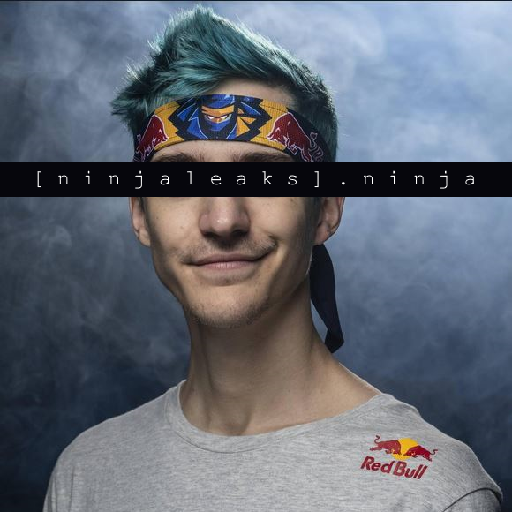 Ninja Blevins